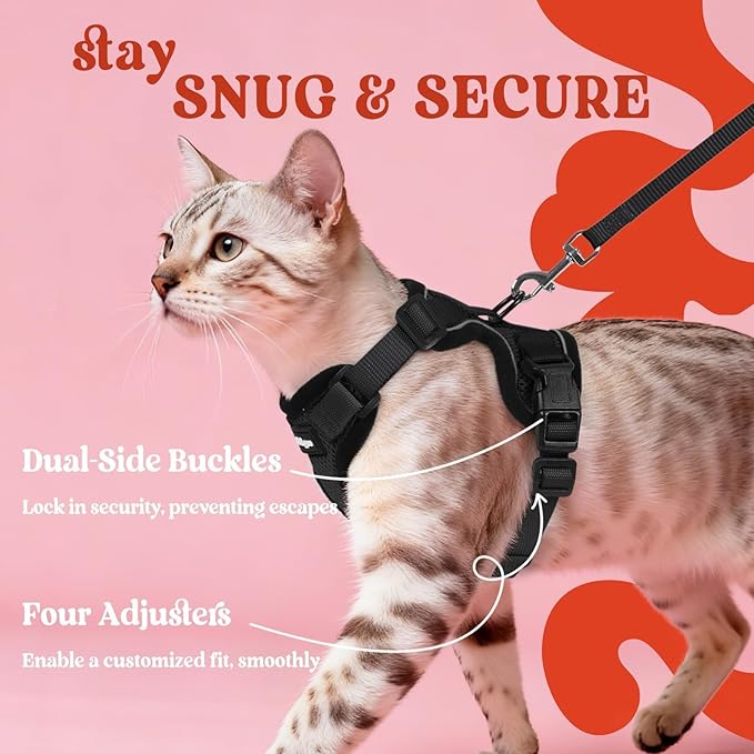 rabbitgoo Cat Harness and Leash Set, Escape Proof Kitten Harness for Safe Outdoor Walks, Soft Breathable Adjustable Vest with Reflective Strips for Kittens and Small Cats, Black, XS