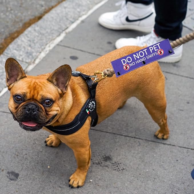 Working Dog Do Not Pet Leash Sleeve Working Dog Leash Wrap Social Distancing Dog Patch (NO Hand Sniffs)