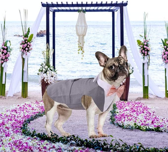 QBLEEV Dog Tuxedo Suit with Bow Tie, Formal Dog Tux Costume and Bandana Set for Wedding Outfit Birthday Party Cosplay Photo Shoot, Doggy Prince Attire for Golden Retriever Husky Border Collie