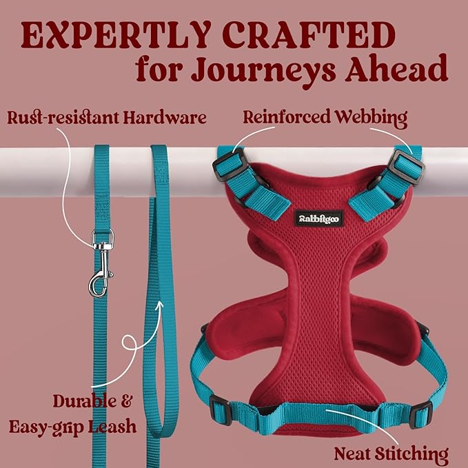 rabbitgoo Cat Harness and Leash Set, Escape Proof Kitten Harness for Safe Outdoor Walks, Soft Breathable Adjustable Vest with Reflective Strips for Kittens and Extra Small Cats, Red & Teal, XXS