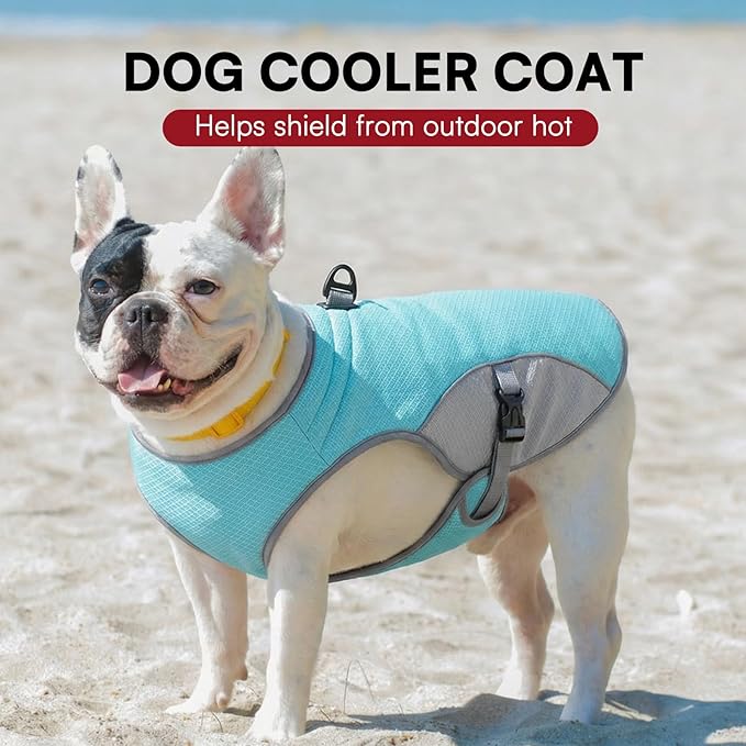 Dog Cooling Vest for Small Dogs, Cooling Jacket for Dogs with Mesh and D Ring, Dog Reflective Stripe Jacket for Hot Weather, Blue-S