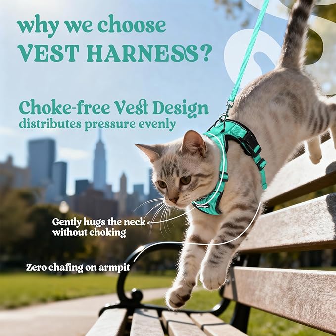 rabbitgoo Cat Harness and Leash Set, Escape Proof Kitten Harness for Safe Outdoor Walks, Soft Breathable Adjustable Vest with Reflective Strips for Kittens and Extra Small Cats, Emerald, XXS