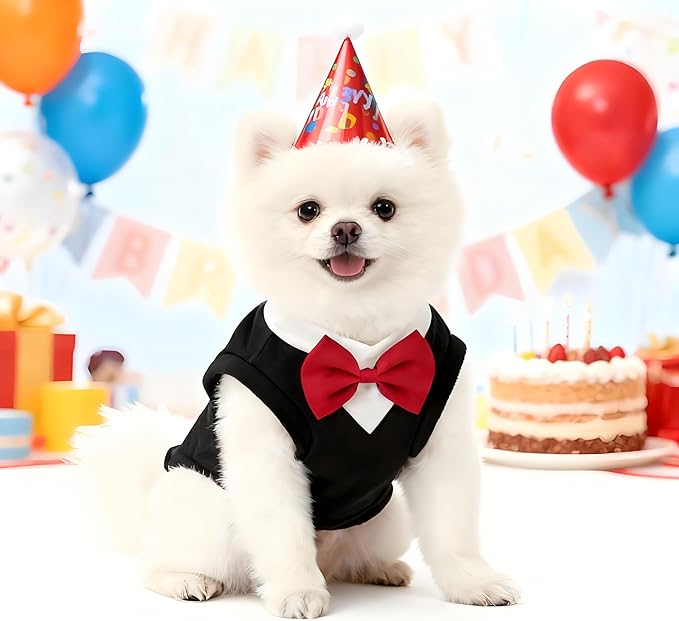Dog Suit with Bow Tie Pet Tuxedo for Small Medium Dogs Cats Formal Clothes Puppy Outfits for Halloween Wedding Birthday (Black, Large)