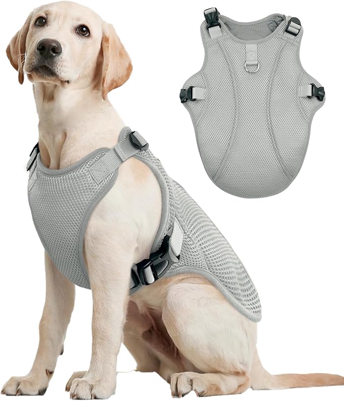 Kuoser Dog Cooling Vest for Large Dogs, Lightweight Dog Cooler Jacket Breathable Mesh Dog Cooling Shirts Reflective Dog Cooling Harness for Beach, Hiking, Walking Grey XL