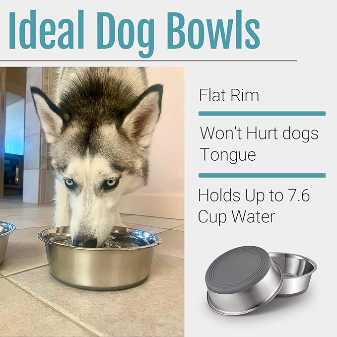 PEGGY11 Nonslip Stainless Steel Dog Bowls, 7.6 US Cup, 2 Count