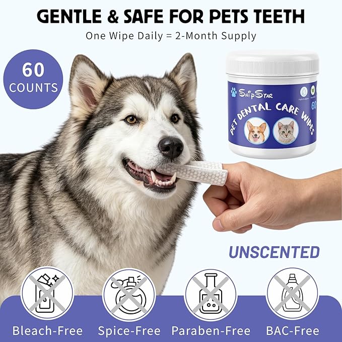 60 Counts Dental Wipes for Dogs Teeth & Cats, No-Rinse Dog Tooth Wipes for Breath Freshener & Gum Care, Pet Toothbrush Toothpaste Alternative, Unscented Disposable Dog Oral Teeth Cleaning Finger Wipes