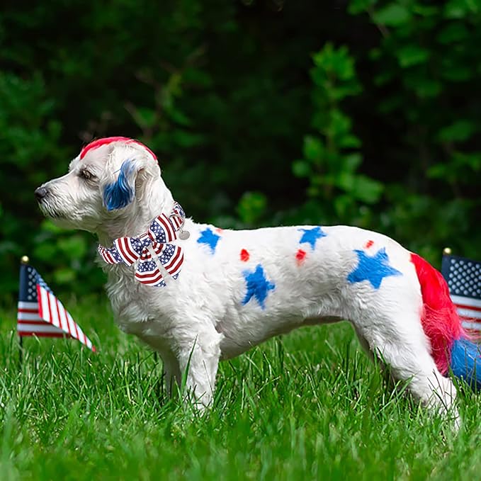 Patriotic Dog Collar with Bow Tie, 4th of July Bowtie Dog Collar, American Flag Collar for Small Boy Girl Dog, Comfortable Summer Bowtie Collar with Metal Buckle, S