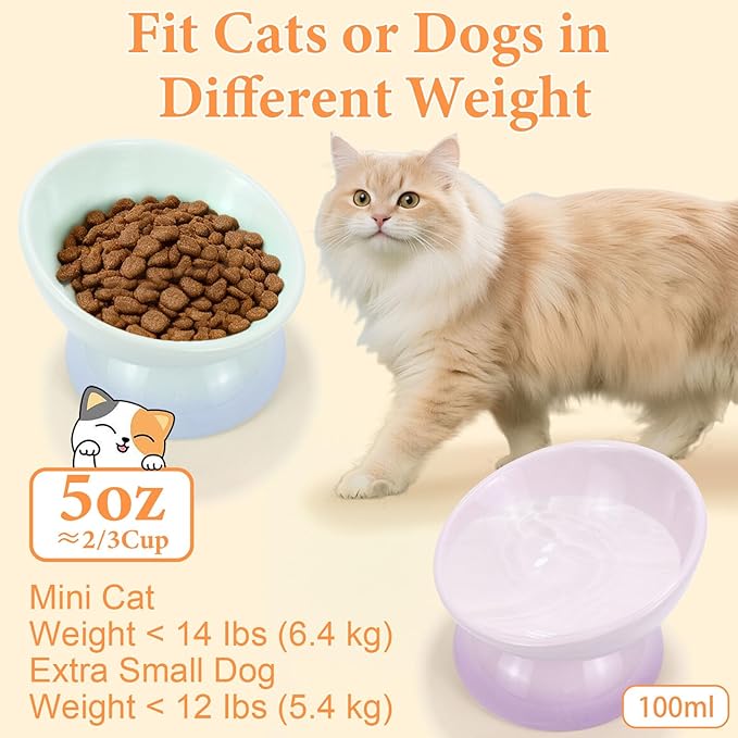 Elevated Cat Food Bowl 4 Pack 5 Oz Ceramic Raised Tilted Water Dishes, 15° Tilt Anti Vomiting, Protect Pets' Spines Bowls for Small Dog, Fat Faced Cat, Kitten