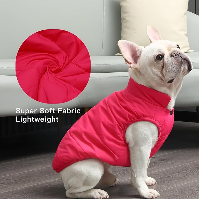 JoyDaog 2 Layers Fleece Lined Warm Dog Jacket for Winter Cold Weather,Soft Windproof Medium Dog Coat,Pink L