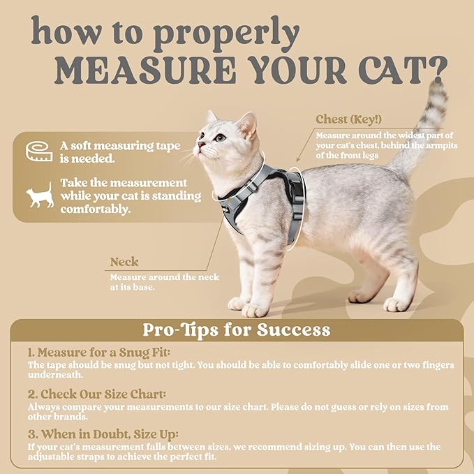 rabbitgoo Cat Harness and Leash Set, Escape Proof Kitten Harness for Safe Outdoor Walks, Soft Breathable Adjustable Vest with Reflective Strips for Kittens and Small Cats, Grey, XS