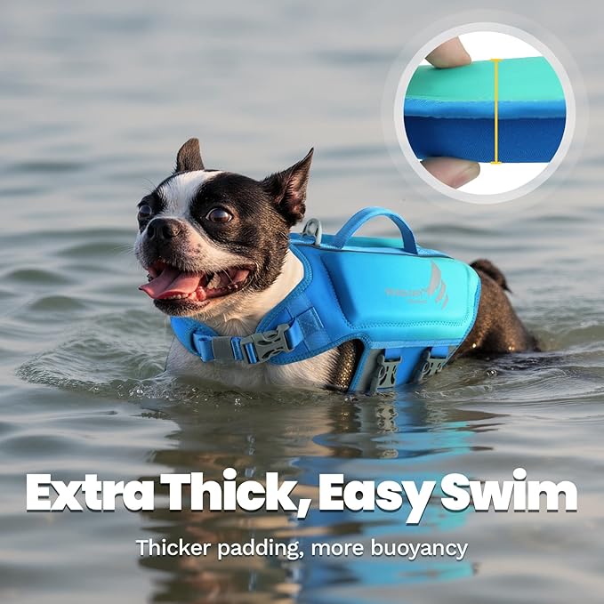 VIVAGLORY High Buoyancy Dog Life Vest, Swimming Vest with Handle, Dog Life Jacket for Swimming & Boating, Buoyancy for Puppy Doggy, M, Turquoise