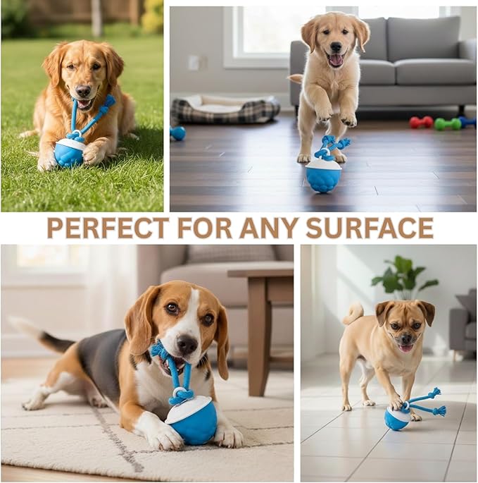 Moving Dog Toy with Rope – Smart Motion Activated Interactive Dog Ball for Small Dogs, 3 Speed Modes, USB Rechargeable Durable Interactive Puppy Toys & Dog Interactive Toys