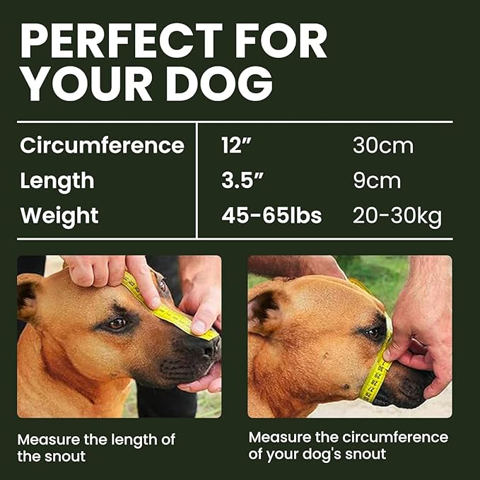 BRONZEDOG Pitbull Dog Muzzle Metal Mask Amstaff Wire Basket Pit Bull Adjustable Leather Straps for Large Dogs (Graphite Metal)
