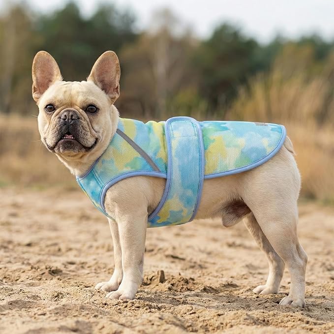 KYEESE Dog Cooling Vest, Lightweight Dog Cooler Jacket, 3D Breathable Mesh Pet Cooling Shirts for Summer with Reflective Stripe, Sun Protection Pet T Shirt for Beach, Hiking, Walking, Blue, L