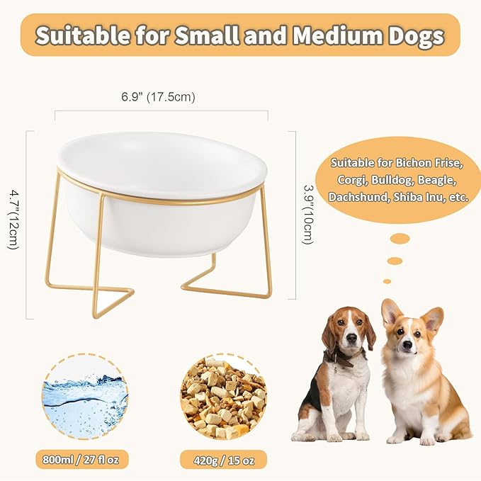 White Large Ceramic Tilted Elevated Cat Dog Bowl Raised Cat Food Water Bowl Dish Pet Comfort Feeding Bowls with Gold Iron Stand