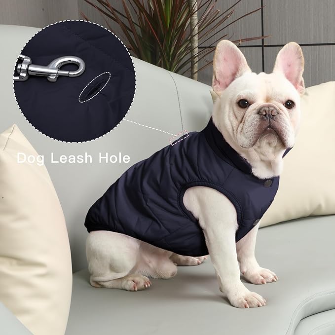 JoyDaog 2 Layers Fleece Lined Warm Dog Jacket for Winter Cold Weather,Soft Windproof Large Dog Coat,Blue XXXL