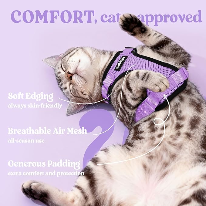 rabbitgoo Cat Harness and Leash Set, Escape Proof Kitten Harness for Safe Outdoor Walks, Soft Breathable Adjustable Vest with Reflective Strips for Kittens and Extra Small Cats, Light Purple, XXS