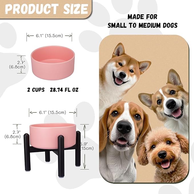 Raised Ceramic Dog Bowl, 6.1'' Modern Feeding Bowl with Non-Slip Stainless Steel Stand, Elevated Food or Water Dish for Small to Medium Dogs, 2 Cups (28.75 fl oz)- Pink