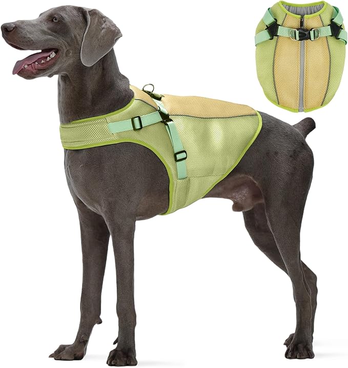 FUAMEY Dog Cooling Vest for Large Dogs Doggy Evaporative Cooling Jacket in Hot Weather Puppy Breathable Mesh Cooler Vest with Reflective Stripe Pet Summer Harness Shirt for Hiking Training Green 2XL