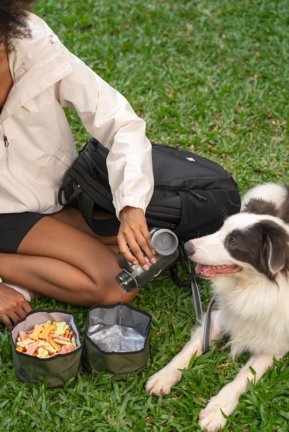OllyDog Superbowl | Collapsible Dog Travel Bowl | 2-Compartment Food & Water | Foldable Portable Dog Dish | Hiking Camping Backpacking | Small Medium Large Dogs (Winter Moss)