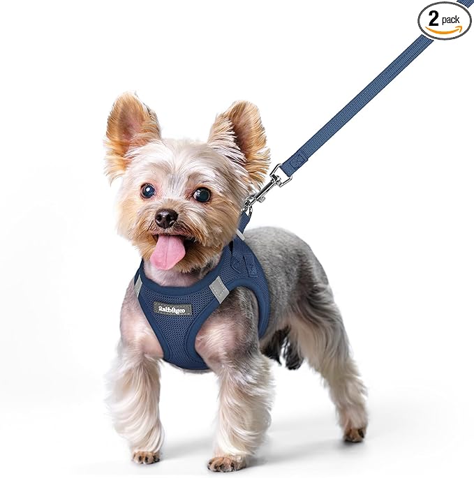 rabbitgoo Dog Harness Small Sized and Leash Set, Step in Soft Light Puppy Vest, Breathable Mesh Pet Harness, Reflective for Safe Outdoor Walking, Navy Blue XS