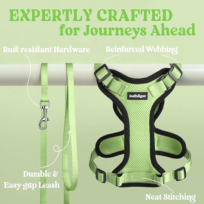 rabbitgoo Cat Harness and Leash Set, Escape Proof Kitten Harness for Safe Outdoor Walks, Soft Breathable Adjustable Vest with Reflective Strips for Kittens and Extra Small Cats, Light Green, XXS