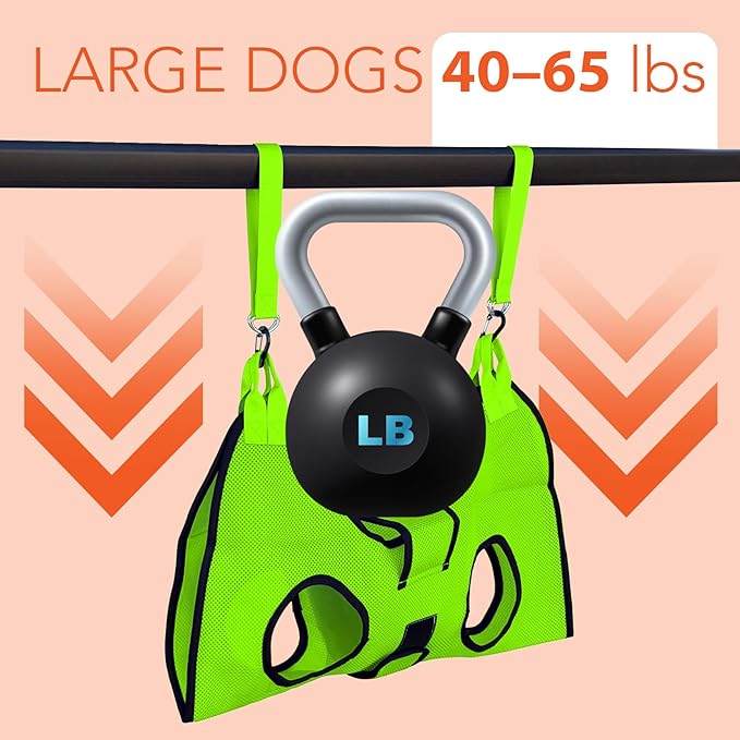 PawsUp Pet Grooming Hammock Kit for Large Dogs, 4-in-1 Professional Grooming Sling for Nail Trimming, Includes Heavy Duty Clipper, Nail File, and Steel Comb – Green