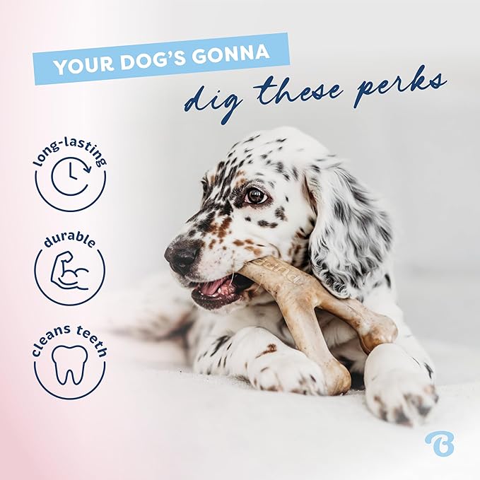 Benebone Puppy 4- Pack Durable Dog Chew Toys for Gentle Chewers, Made in USA, Small