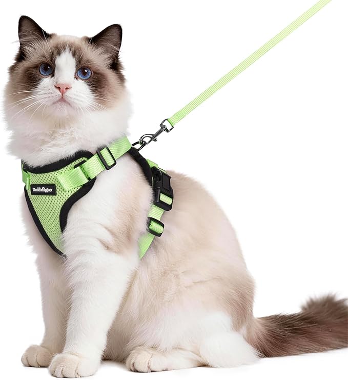 rabbitgoo Cat Harness and Leash Set, Escape Proof Vest Harness for Safe Outdoor Walks, Soft Breathable Adjustable Vest with Reflective Strips for Average to Large Cats, Light Green, M