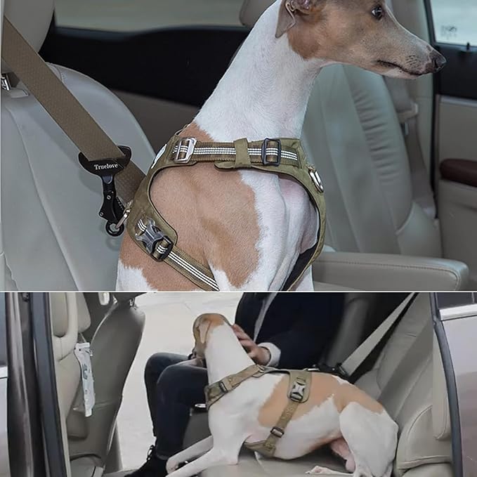 Truelove Vehicle Seat Belt Safety Buckle Lock, Dog Seat Belt Clip Universal Dog Car Restraint - Dog Seatbelt Lock - Portable Vehicle Seatbelt Harness for Pet Car Travel (Purple)