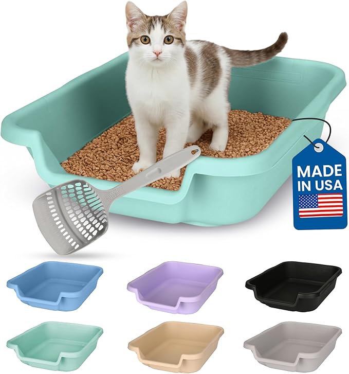 KittyGoHere Senior Cat Litter Box, Small Litter pan with Long-Handle Jumbo Scoop, Open Top Low Entrance Kitty Litter Box, Lightweight Low Entry Litters Box, Durable, Made in USA (Apple Green)