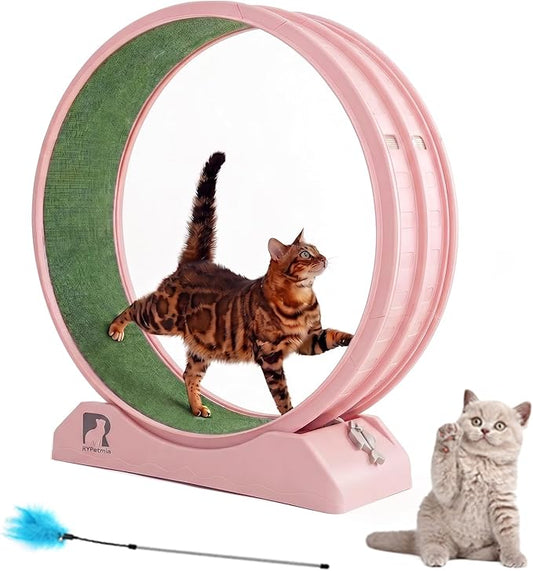 Cat Exercise Wheel, 31.5 Inch Indoor Treadmill for Cats with Carpeted Runway, Screw-Fixed Assembly for Easy Setup, Silent & Safe Fitness Equipment for Most Cats