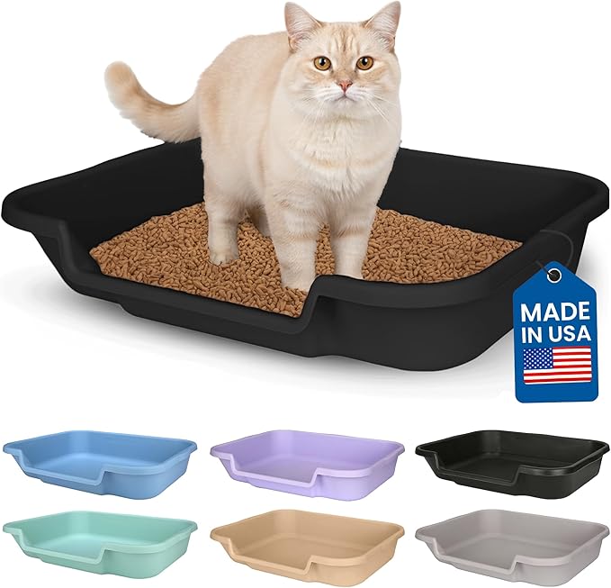 KittyGoHere Senior Cat Litter Box, Large Litter pan, Open Top Low Entrance Kitty Litter Box, Lightweight Low Entry Litters Box, Durable, Made in USA (Black)