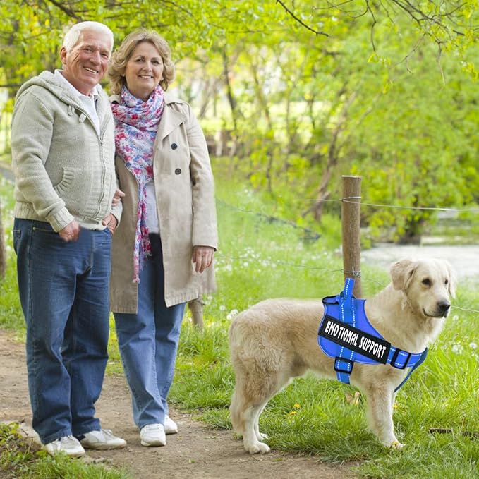 voopet Service Dog Harness, Emotional Support Pet Vest Harness, Reflective Breathable and Adjustable No-Pull ESA Dog Harness for Small Medium Large Dogs (with 4 PCS Removeable Tags)