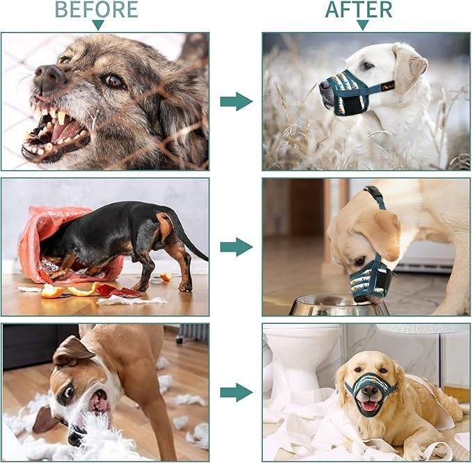HEELE Dog Muzzle,Soft Nylon Muzzle Anti Biting Barking Chewing,Air Mesh Breathable Drinkable Adjustable Loop Pets Muzzle for Small Medium Large Dogs 4 Colors 4 Sizes (P-Green Valley, M)