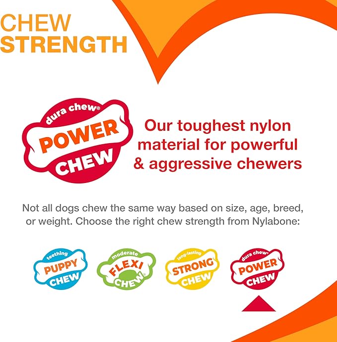 Nylabone Original Wishbone Power Chew Toy for Dogs, Dog Toys for Aggressive Chewers, Original Flavor, Small - Up to 25 Ibs, 1 Count