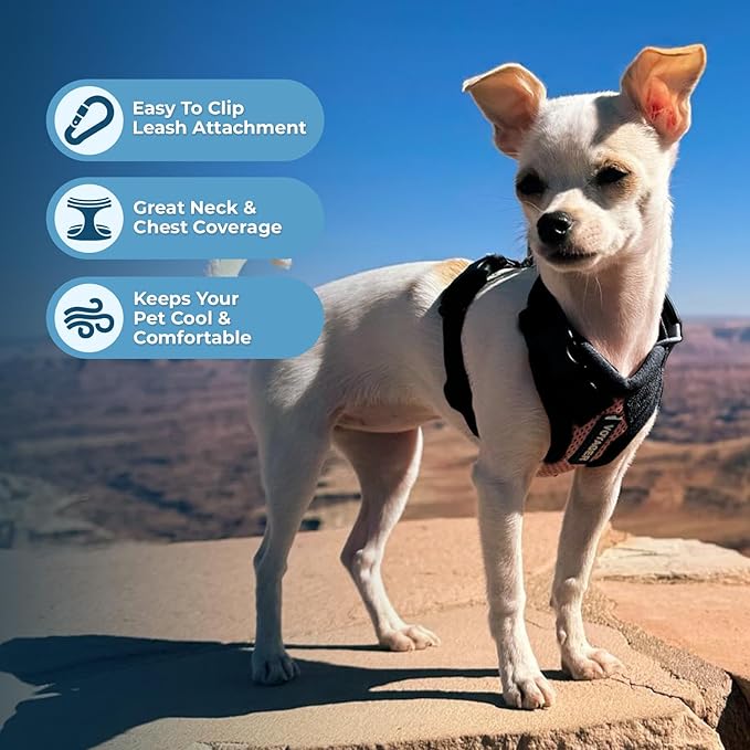 Best Pet Supplies Voyager Step-in Lock Pet Harness w Reflective Pet Leash Combo Set with Neoprene Handle 5ft - Supports Small, Medium and Large Breed Puppies/Cats - Pink/Black Trim, L