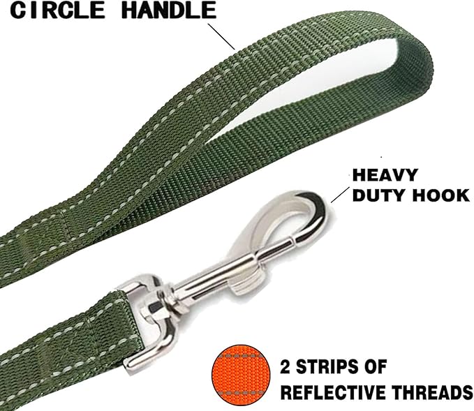 Reflective Dog Leash 4Ft /6 Feet Long, 3/4 Inch Wide, for Small and Medium Dogs