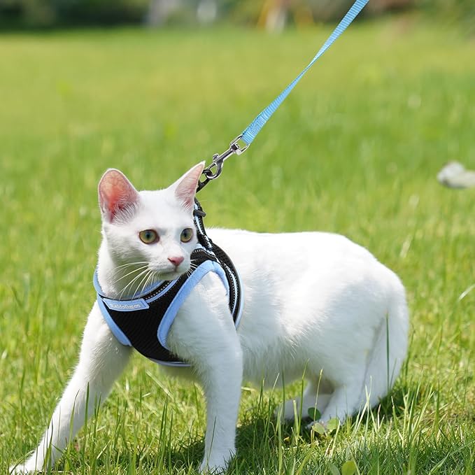 rabbitgoo Cat Harness and Leash, Step-in Escape Proof Kitten Harness Set, Soft Comfortable Cat Vest, Easy to Wear and Adjust, Reflective for Safe Outdoor Walking, Black&Light Blue, Small