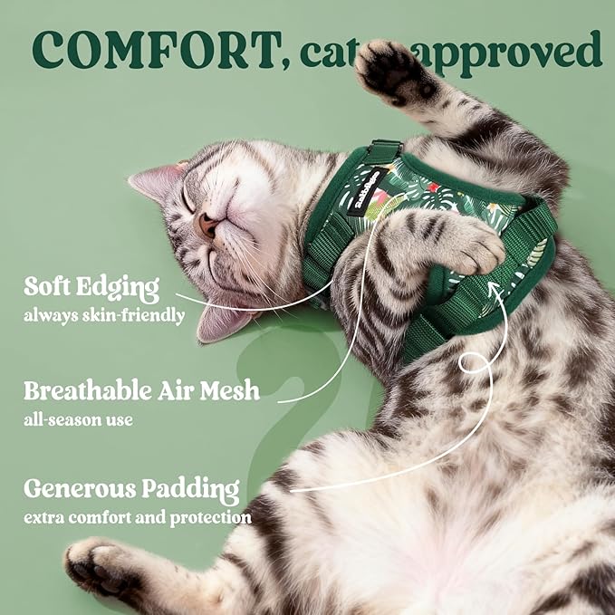rabbitgoo Cat Harness and Leash Set, Escape Proof Kitten Harness for Safe Outdoor Walks, Soft Breathable Adjustable Vest with Reflective Strips for Kittens and Small Cats, Rainforest Green, XS