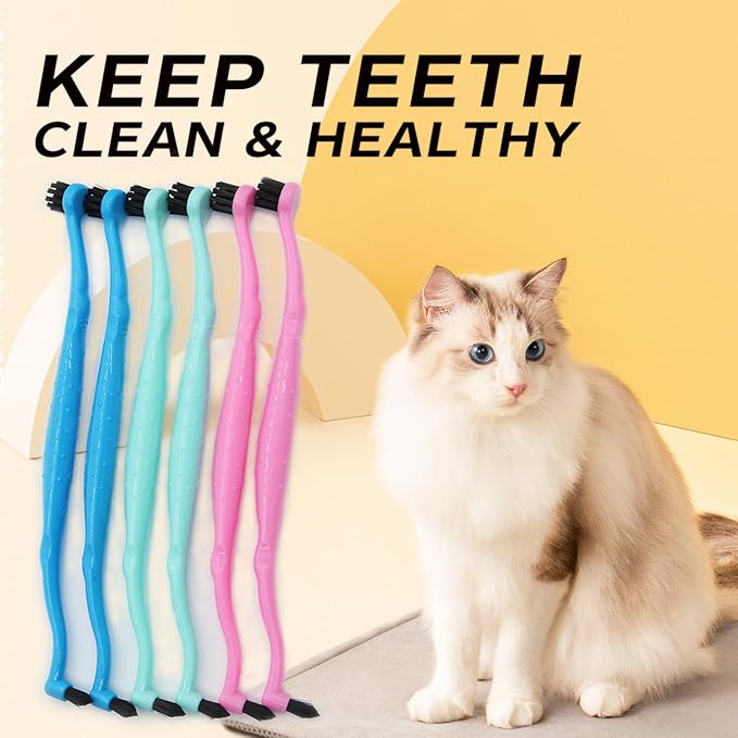 Pet Dental Care Set, Dual-Sided Toothbrush and Finger Brush, for Dogs and Cats (Black, Small Cone)