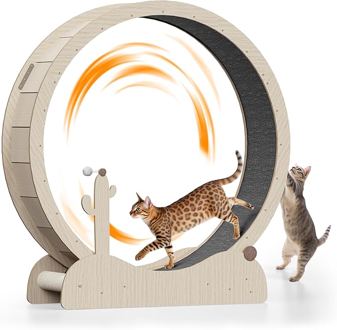 ZENY Cat Exercise Wheel, 47inch Cat Treadmill for Indoor Cats, Cats Running Wheel with Updated Enhanced Base and Carpeted Runway for Cat's Fitness