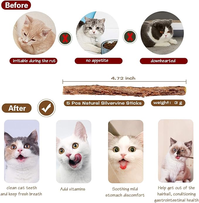 3-Pack Cat Wand Toys, 16-Inch Natural Wooden Teaser Wand with 5 Silvervine Sticks, Interactive Feather Wand for Indoor Cats