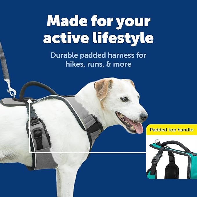 PetSafe EasySport Dog Harness - Padded, Adjustable Dog Harness with Control Handle and Reflective Piping - Great for Active Dogs - from the Makers of the Easy Walk Harness - Small, Charcoal