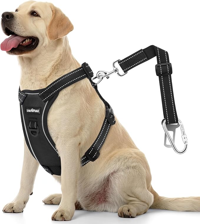 VavoPaw Dog Seat Belt Harness for Car, Dog Car Harness Adjustable Mesh Breathable & Dogs Seatbelt Safety Tether with Elastic Bungee for Small Medium Large Pets(Carbon Black, XL)