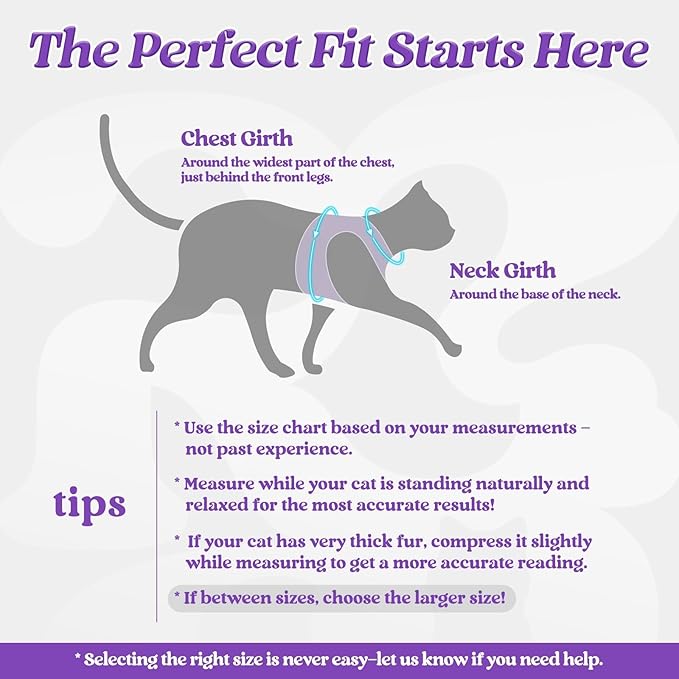 rabbitgoo Cat Harness and Leash, Step-in Escape Proof Kitten Harness Set, Soft Comfortable Cat Vest, Easy to Wear and Adjust, Reflective for Safe Outdoor Walking, Purple, Small