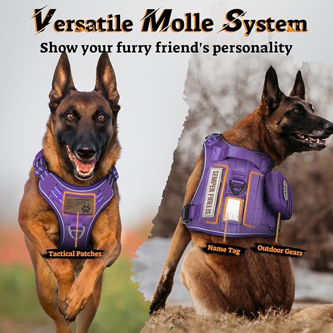 rabbitgoo Tactical Dog Harness for Large Dogs No Pull Adjustable Military Vest with Handle MOLLE Reflective Heavy Duty Dog Vest for Walking Training Hunting Outdoor Working Medium Size Dog Purple L