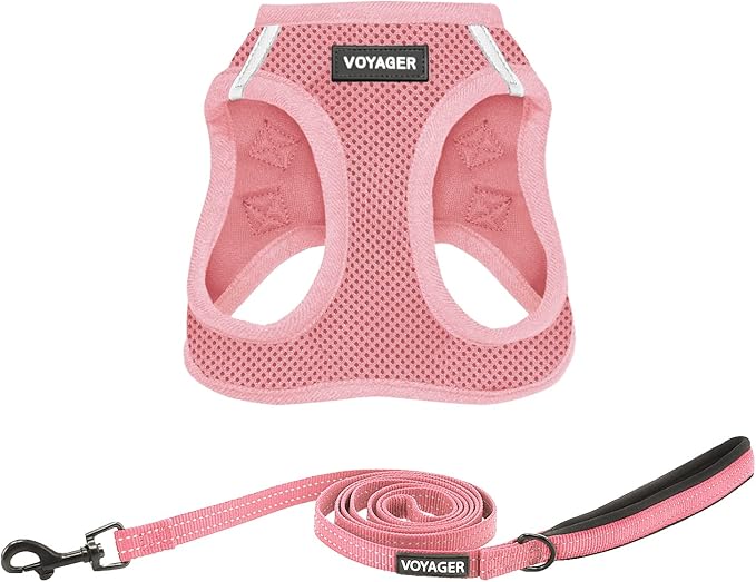 Best Pet Supplies Voyager Step-in Air All Weather Mesh Harness and Reflective Dog 5ft Leash Combo with Neoprene Handle, for Small, Medium and Large Breed Puppies - Set (Pink), Large