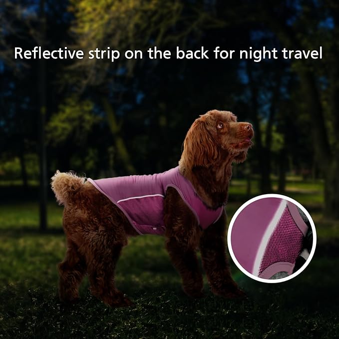 2 Pack UPF 50+ Sun Protection Sports Fan Pet T-Shirts, Quick-Dry Soft Clothes for Medium Large Dogs Girl, Tshirts with Reflective Strip Sleeveless Vest Pet Apparel P23ST00504XXXL