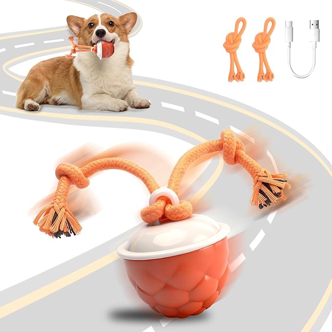 Interactive Dog Toys-Automatic Moving Dog Toy for Boredom, Squeaky Smart Motion Pet Ball for Small Medium Large Dogs, Rope Chew for Teeth Cleaning, Outdoor Waterproof (Red)